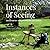 Instances of Seeing by Elizabeth Bowles