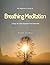 The Beginner's Guide to Breathing Meditation by Viyan Pishro