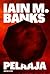 Pelaaja by Iain M. Banks
