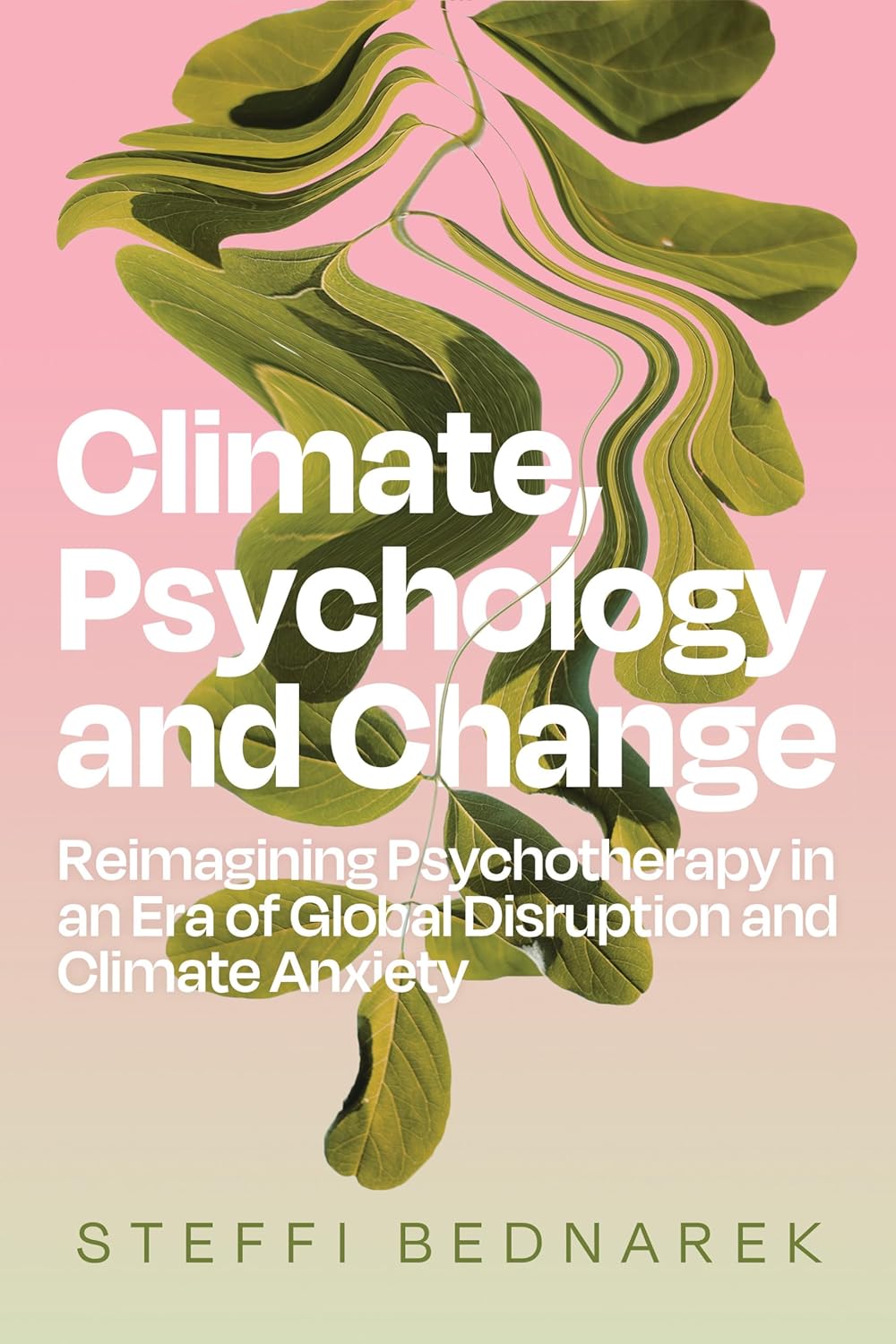 Climate, Psychology, and Change: Reimagining Psychotherapy in an Era of Global Disruption and Climate Anxiety (Paperback)