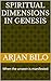 SPIRITUAL DIMENSIONS IN GENESIS by Arjan Bilo