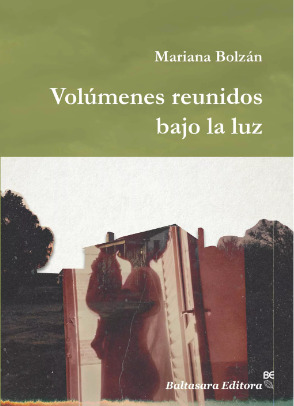 Volúmenes reunidos bajo la luz (Paperback)