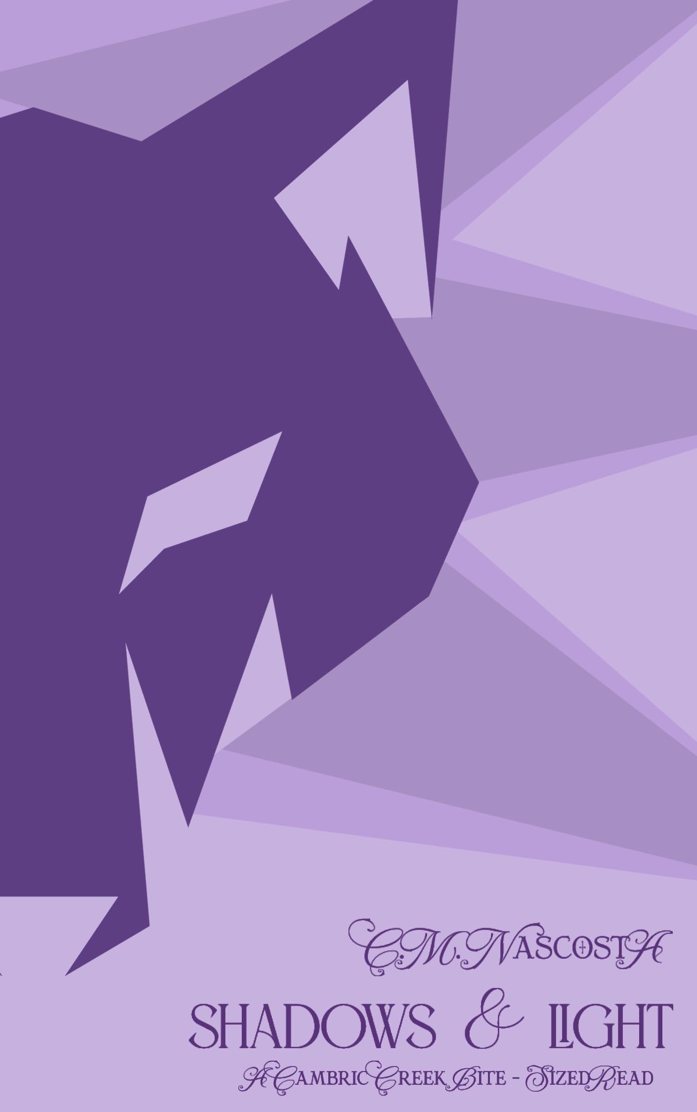 Shadows & Light (Cambric Creek After Darkverse, #2)