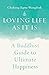 Loving Life as It Is: A Buddhist Guide to Ultimate Happiness