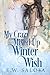 My Crazy Winter Wish