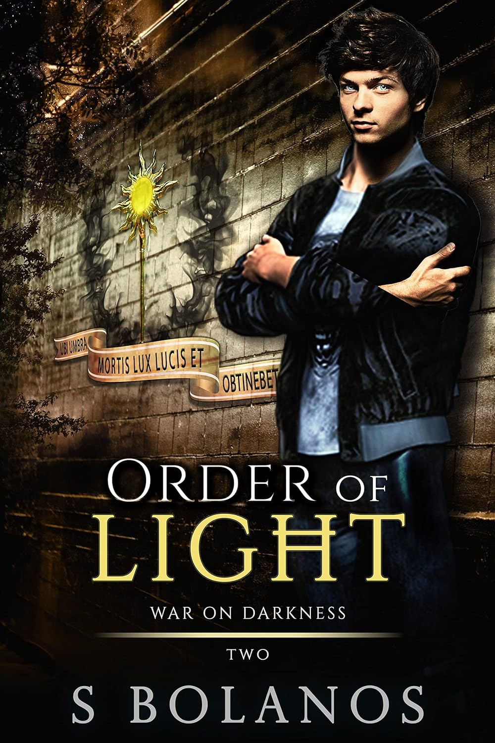 Order of Light (War on Darkness #2)