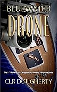 Bluewater Drone