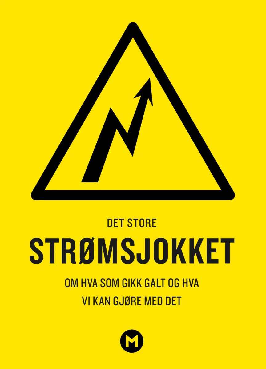 Det store strømsjokket: Om hva som gikk galt og hva vi kan gjøre med det