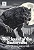 The Hound of the Baskervilles