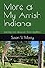 More of My Amish Indiana: Learning more about our Amish neighbors