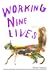 Working Nine Lives