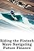 Riding the Fintech Wave: Na...