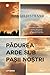 Pădurea arde sub pașii noștri