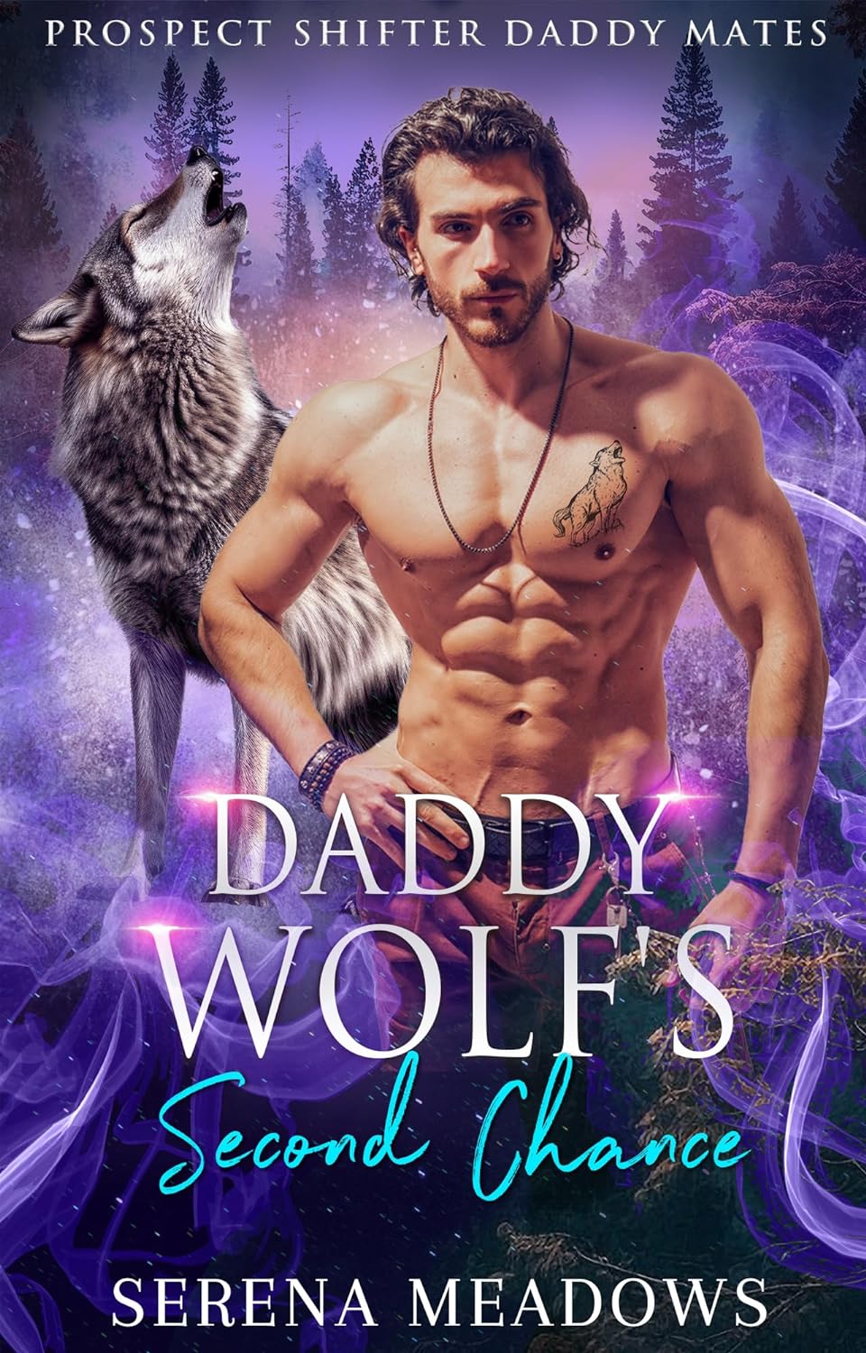 Daddy Wolf's Second Chance: (Prospect Shifter Daddy Mates #2)