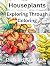 Houseplants - Exploring Through Coloring