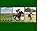 Horse Racing Systems 3-Pack...