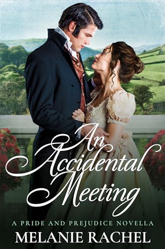 An Accidental Meeting (Kindle Edition)