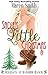 Sadie’s Little Christmas (Holidays at Rawhide Ranch, #2)
