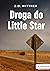 Droga do Little Star (John Behringer, #1)