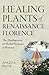 Healing Plants of Renaissance Florence by Angela Paine Healing Plants of Renaissance Florence by Angela Paine