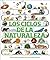 Los ciclos de la naturaleza (Timelines of Nature) (DK Children's Timelines) (Spanish Edition)
