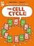 The Cell Cycle