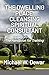 THE DWELLING PLACE CLEANSING SPIRITUAL CONSULTANT by Michael W. Dewar