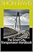The Smart City Transportation Handbook by Shon Davis