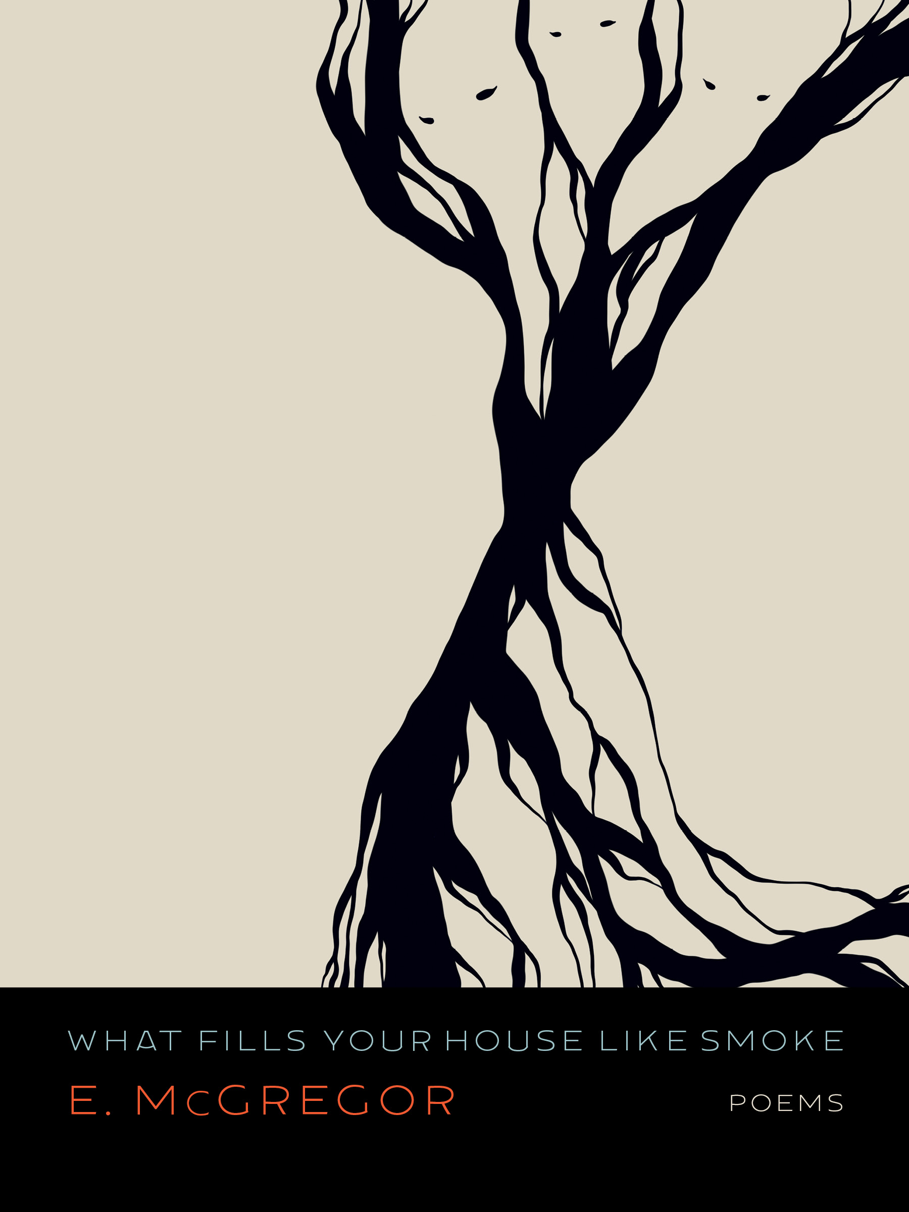 What Fills Your House Like Smoke (Paperback)