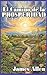 El Camino de la Prosperidad (Spanish Edition)