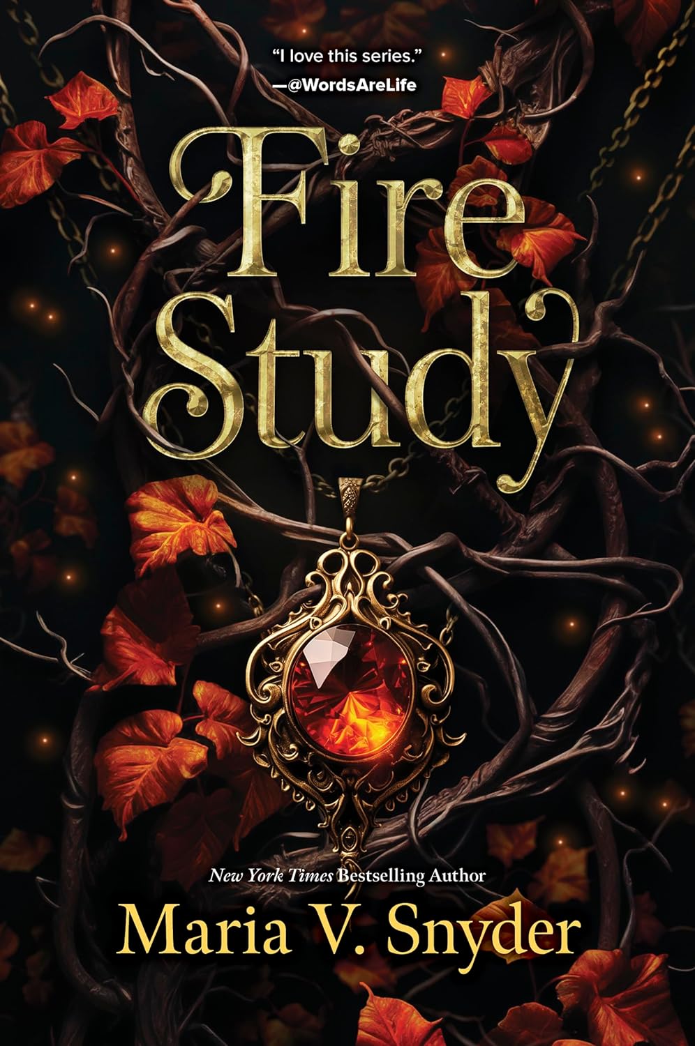Fire Study: A Novel – A Thrilling Adult Fantasy Romance of War and Destiny