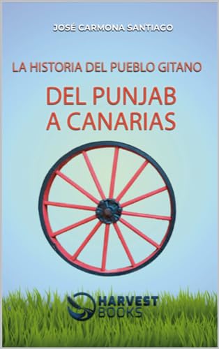 Del Punjab a Canarias: La Historia del Pueblo Gitano (Spanish Edition)
