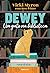 Dewey by Vicki Myron