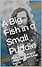 A Big Fish in a Small Puddl...