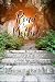 Road to Bethel by Tricia Bullard Road to Bethel by Tricia Bullard
