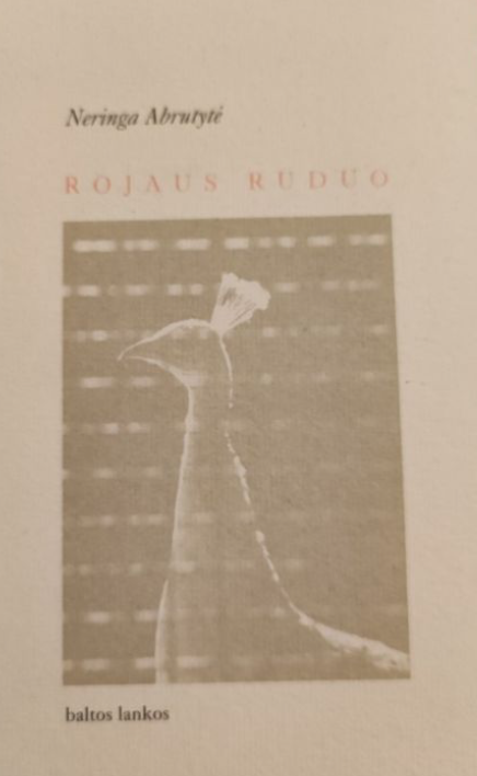 Rojaus ruduo (Paperback)