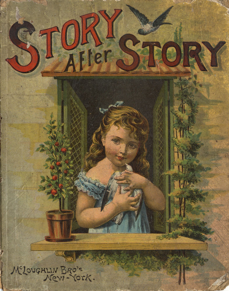 Story After Story (Hardcover)