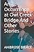 An Occurrence at Owl Creek Bridge And Other Stories