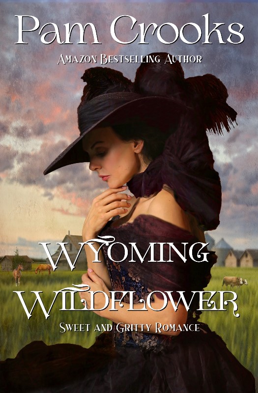 Wyoming Wildflower: Sweet and Gritty Historical Western Romance
