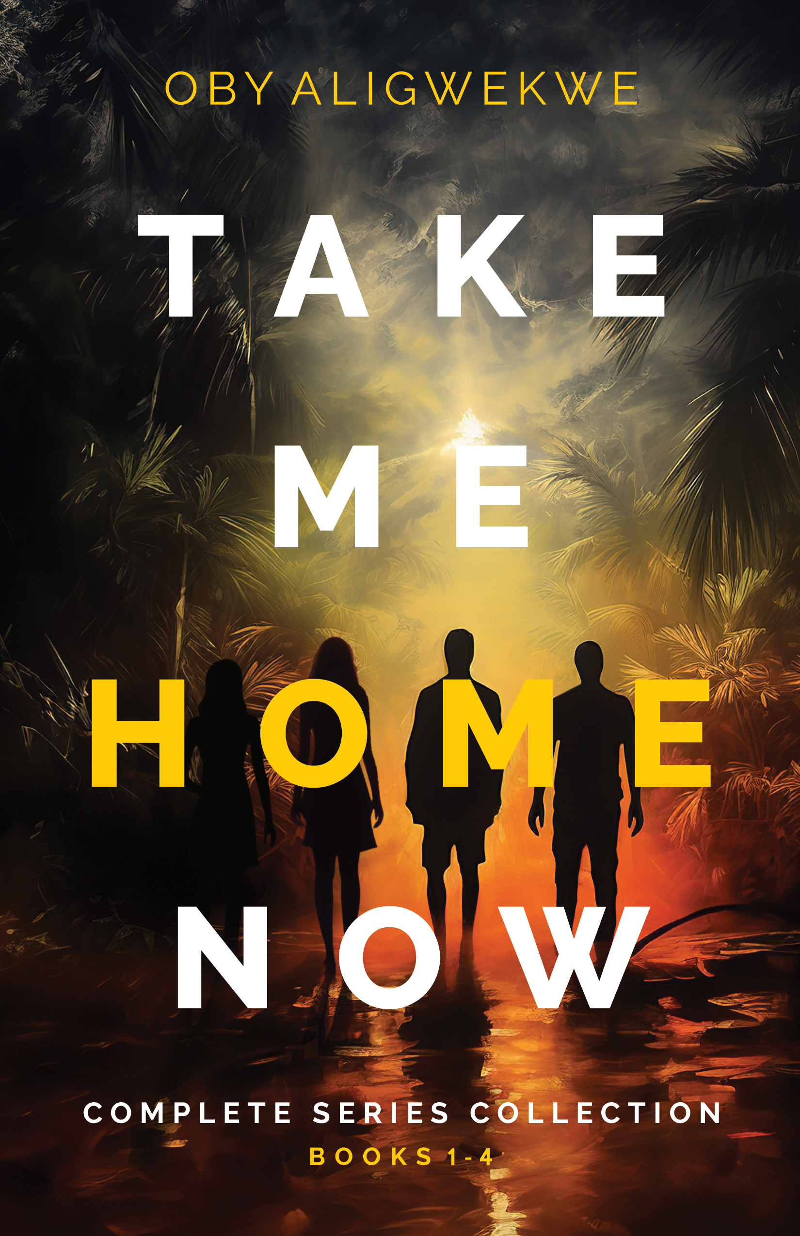 Take Me Home Now: The Complete Series Collection