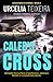 Caleb's Cross: A true crime Christian mystery novel that will keep you guessing! (ANGUS REID MYSTERIES)