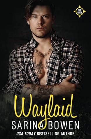 Waylaid (True North, #8)