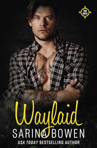 Waylaid (True North, #8)