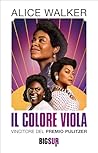 Book cover for Il colore viola
