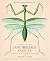 Innumerable Insects by Michael S. Engel
