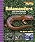 Salamanders and Other Anima...