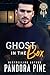 Ghost in the Box (Haunted Souls #18)