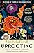 Uprooting: From the Caribbean to the Countryside – Finding Home in an English Garden