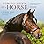 How to Think Like a Horse W...