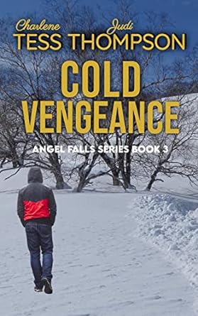 Cold Vengeance  (Angel Falls #3)